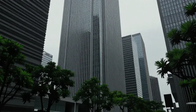 技术外包服务优化中的选型与实施环节分析